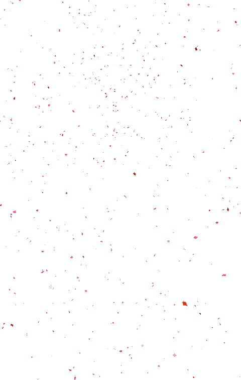 构建 跨越 打造时代"本真"教育